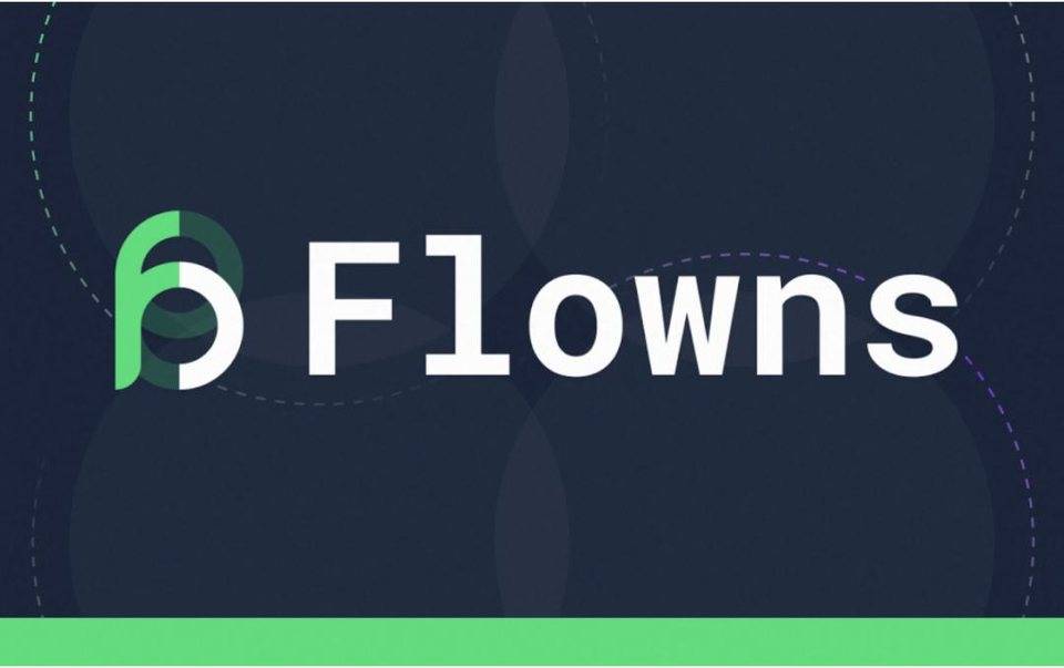 Flow Ecosystem|Flowns ，数字世界的开放数据与资产协议