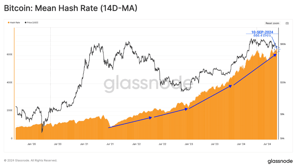 Glassnode 报告：比特币矿工信心强劲而收入下滑，ETF 资金流出揭示市场冷却