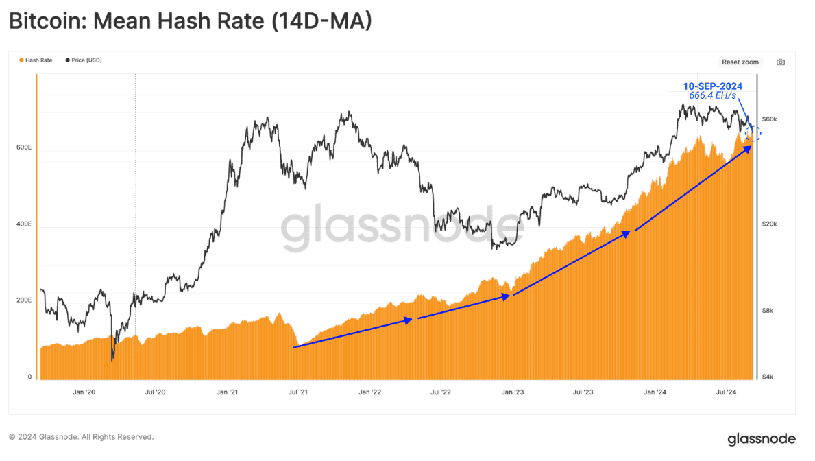 Glassnode 报告：比特币矿工信心强劲而收入下滑，ETF 资金流出揭示市场冷却