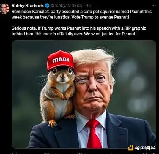 一只松鼠、一枚 Meme 币拯救美国？带你回顾 Peanut 的前世今生