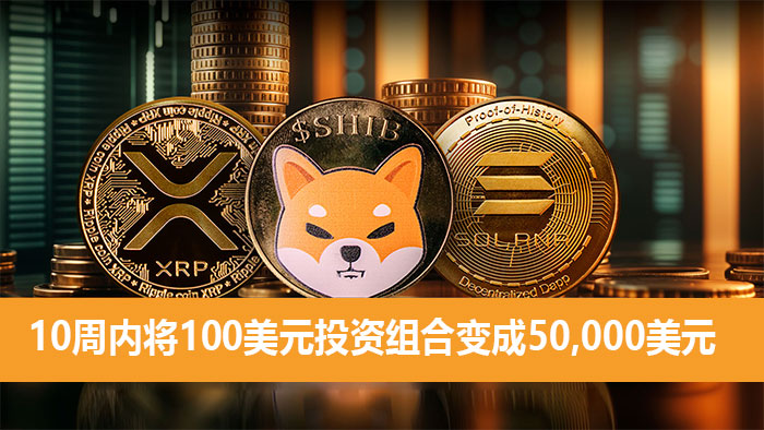 4种XRP替代品：如何在10周内将100美元的投资组合变成50,000美元