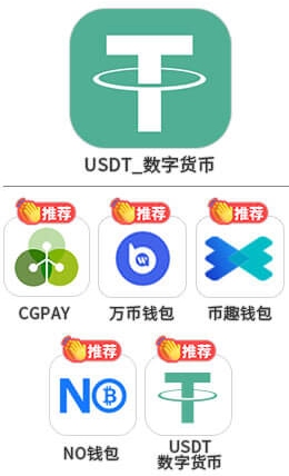 指定USDT入款方式：USDT数字货币、CGPAY、万币钱包、币趣钱包、NO钱包